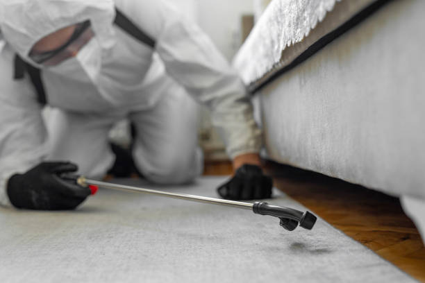 Professional Bed Bug Control technician working in Highland Park, PA