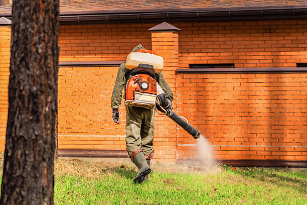 Trusted Rodent Control service in Highland Park, PA - Nex Pest Control